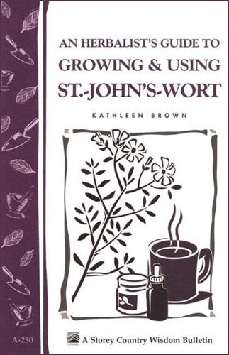 An Herbalist's Guide to Growing & Using St.-John's-Wort