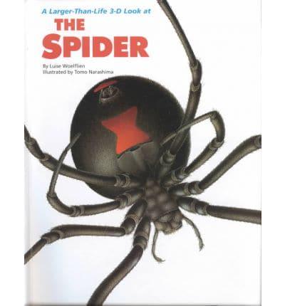 The Spider