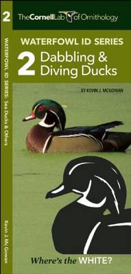 Waterfowl ID Series: 2 Dabbling & Diving Ducks