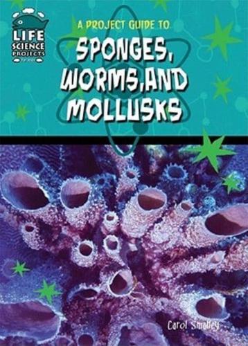 A Project Guide to Sponges, Worms, and Mollusks