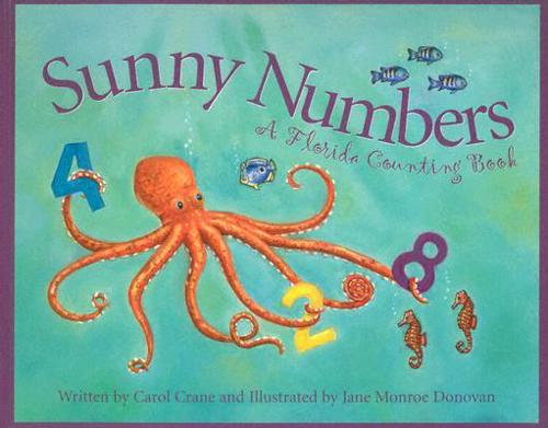 Sunny Numbers