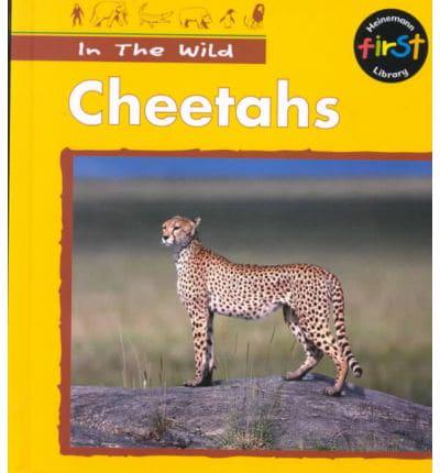 Cheetahs