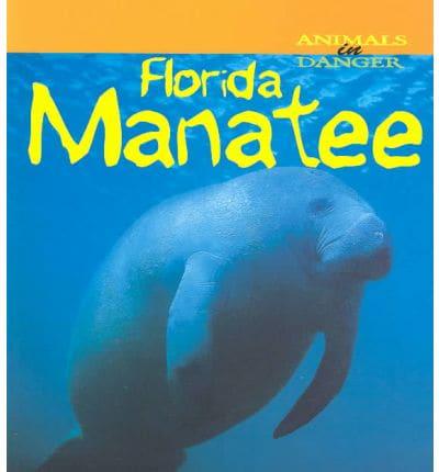 Florida Manatee