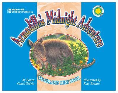 Armadillo's Midnight Adventure