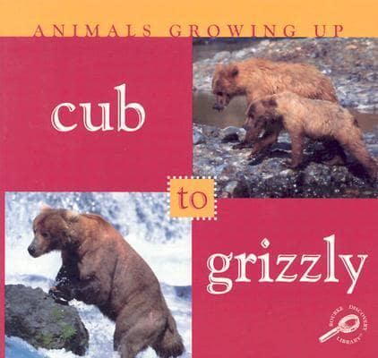 Cub to Grizzly