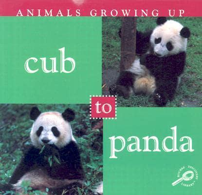 Cub to Panda