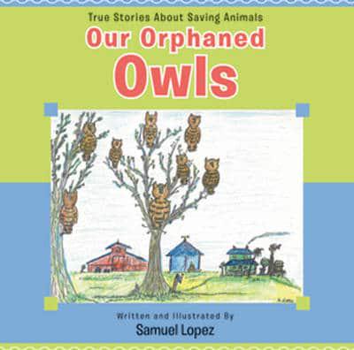 Our Orphaned Owls