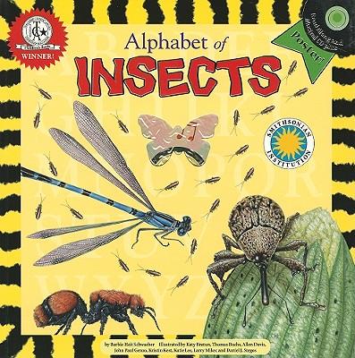 Alphabet of Insects