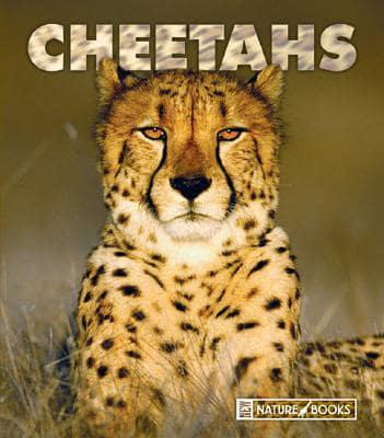 Cheetahs