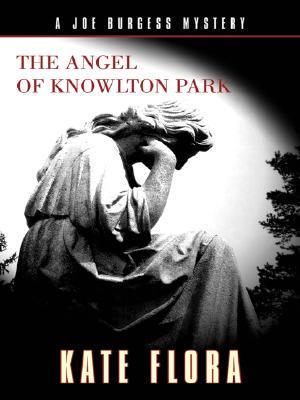 The Angel of Knowlton Park