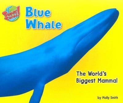 Blue Whale