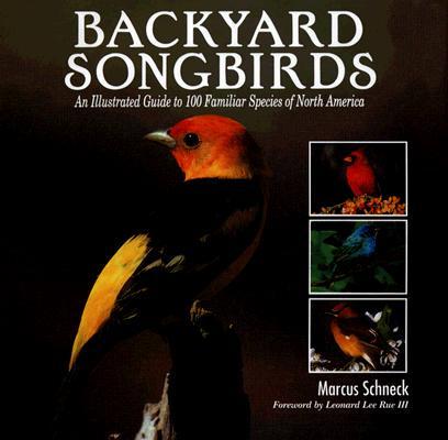 Backyard Songbirds