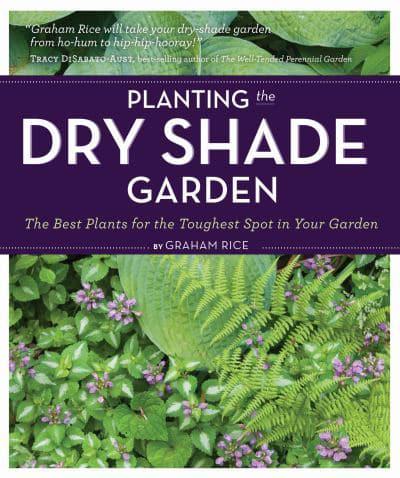 Planting the Dry Shade Garden