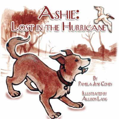 Ashie: Lost in the Hurricane