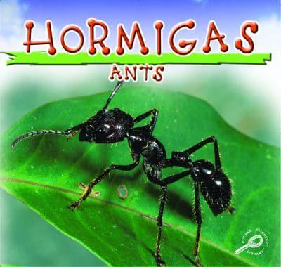 Hormigas