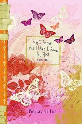 For I Know The Plans Butterfly-PI