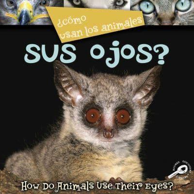 Cómo Usan Los Animales-- Sus Ojos?