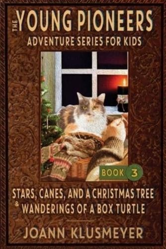 Stars, Canes, and a Christmas Tree & The Wanderings of a Box Turtle