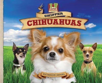 Chipper Chihuahuas