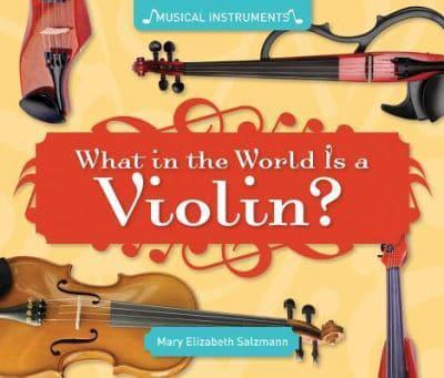 What in the World Is a Violin?