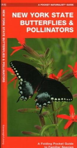 New York State Butterflies & Pollinators
