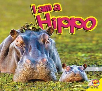 Hippopotamus