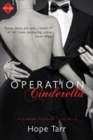 Operation Cinderella (Entangled Indulgence)