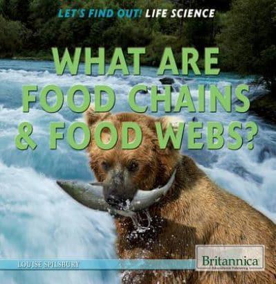 What Are Food Chains & Food Webs?