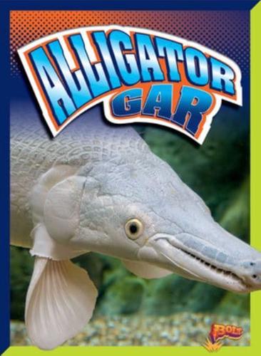 Alligator Gar