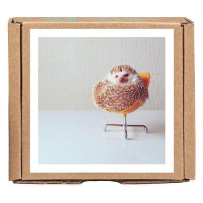 Darcy the Flying Hedgehog GreenGift-Notes