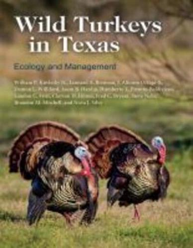 Wild Turkeys in Texas