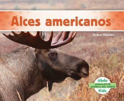 Alces Americanos (Moose) (Spanish Version)