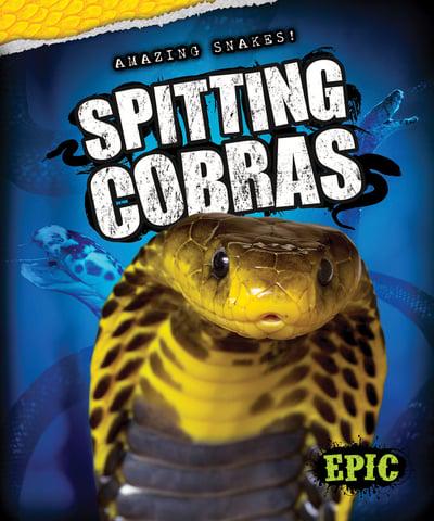 Spitting Cobras