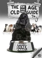 English Cocker Spaniel Old Age Care Guide 7+