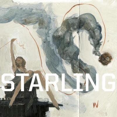Starling. 1
