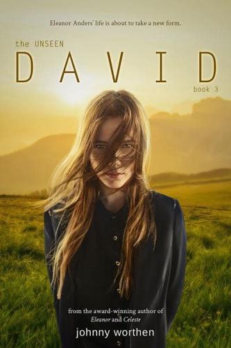 The Unseen David. Book 3