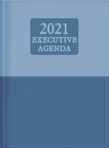 The Treasure of Wisdom - 2021 Executive Agenda - Blue/Sky Blue