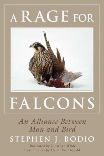 A Rage for Falcons