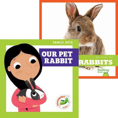 Rabbits + Our Pet Rabbit