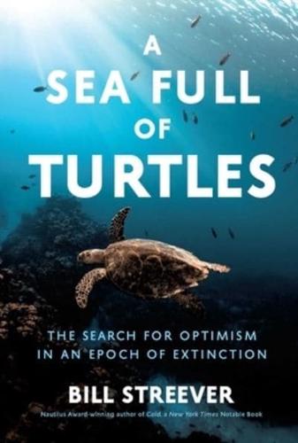 A Sea Full of Turtles