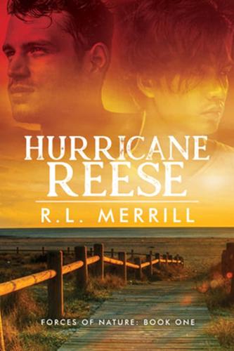 Hurricane Reese Volume 1