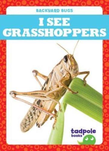 I See Grasshoppers