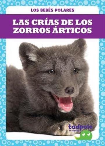 Las Crías De Los Zorros Árticos