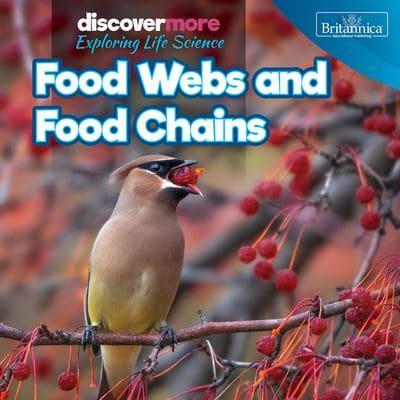 Food Webs and Food Chains