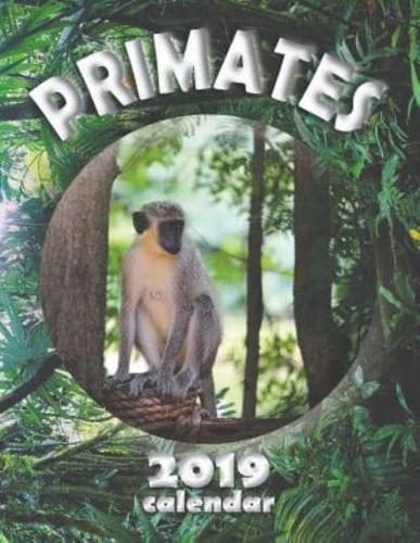 Primates 2019 Calendar