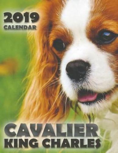 Cavalier King Charles 2019 Calendar