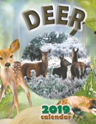 Deer 2019 Calendar