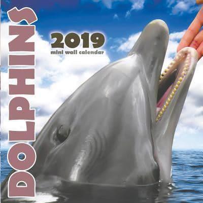Dolphins 2019 Mini Wall Calendar