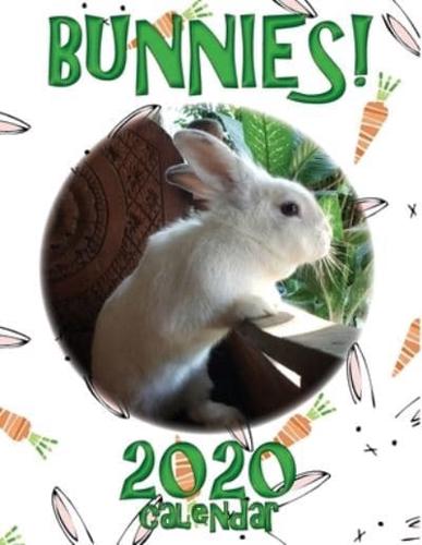 Bunnies! 2020 Calendar