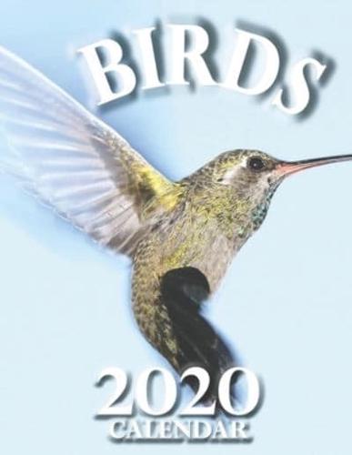 Birds 2020 Calendar